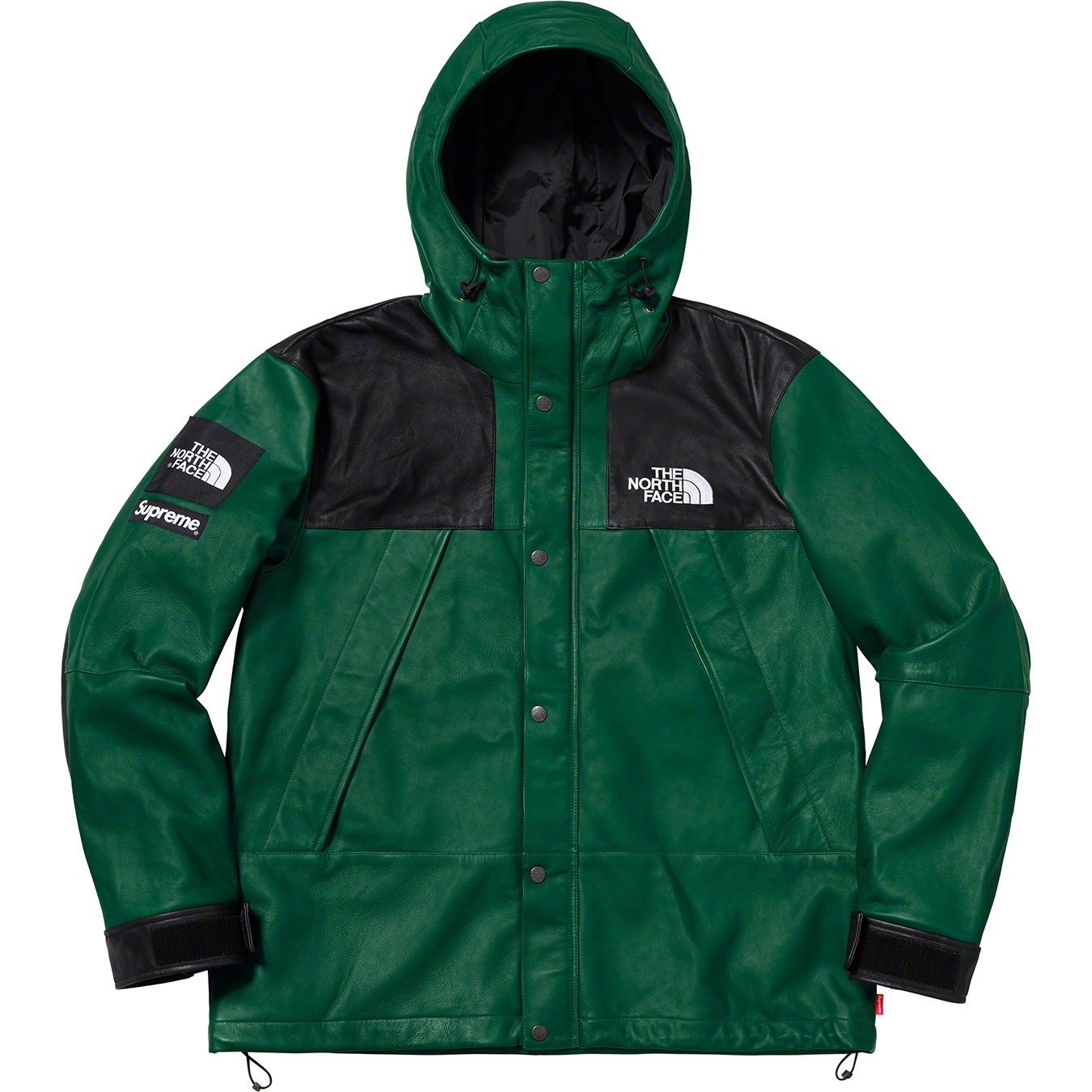 Supreme®/The North Face® Leather Mountain Parka view 6